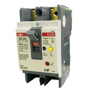 ELCB LS 2P 100A 35kA – EBN102c